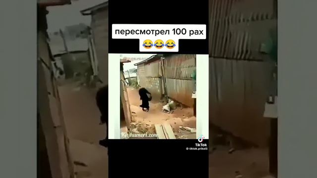 Допа Ганга стайл 😂 смотреть онлайн
