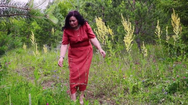 Фарида Ахматнурова -Ак томан (Венера Шарафисламова суз, Фарида Ахматнурова кое) смотреть онлайн
