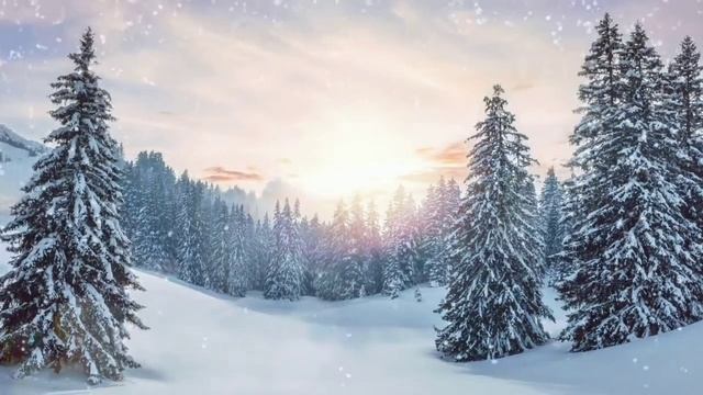 25 января. Астрологические советы. Характеристика дня по лунным циклам. смотреть онлайн