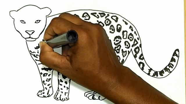 How to Draw a Jaguar (animal) смотреть онлайн