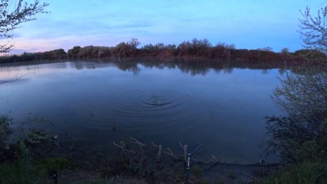 ОГРОМНЫЕ КАРПЫ ,маленькой реки .Демьяновка,Крым .