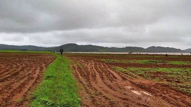 Installation Site - GreenSense node for Potato farmers смотреть онлайн