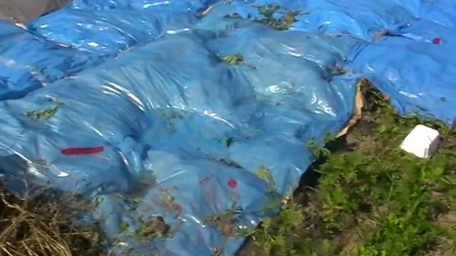 Борьба с сорняком-4 способа!!! Смотреть всем!!! смотреть онлайн