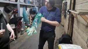 Осеменение кобылы. Лучшие  специалисты России  : Ирина Шмелева, Ольга Румянцева, Роман Малышев