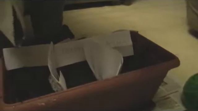 Ну, давай я расскажу тебе: как выращивать рассаду помидоров смотреть онлайн