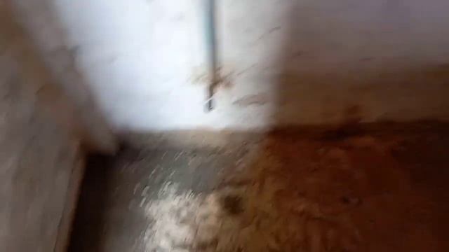 Продажа зерна, цена, правильный способ продажи. смотреть онлайн