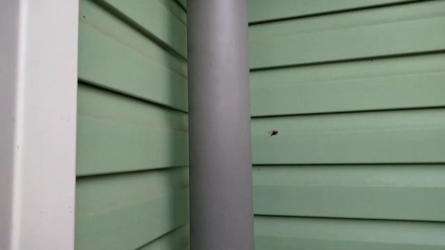 Вентиляция подвала/ Правильный вывод на улицу притока и вытяжки смотреть онлайн