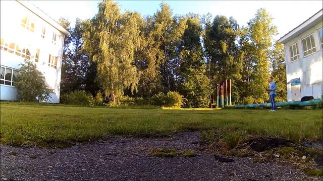 align trex 450 pro v2 смотреть онлайн