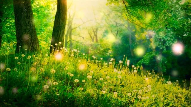 Лучшая расслабляющая музыка ♪ Музыка для положительной энергии смотреть онлайн