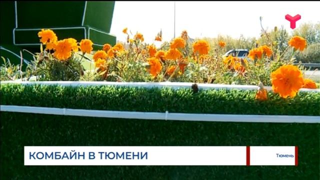 Комбайн из цветов / Тюмень смотреть онлайн