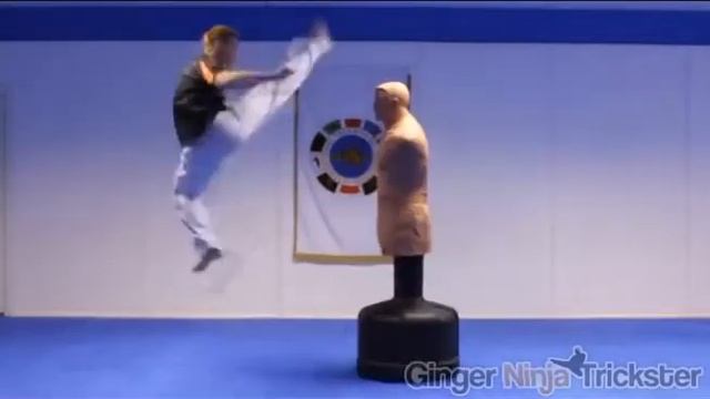 История тхеквондо. Как появилось боевое искуство?