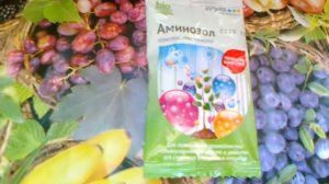 Аминозол. Биопрепарат с аминокислотами.