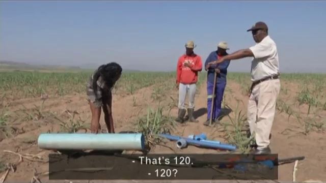 Living Land - Episode 24: Sweet Success смотреть онлайн