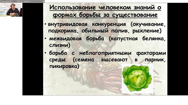 Эволюция органического мира в заданиях ОГЭ и ЕГЭ смотреть онлайн