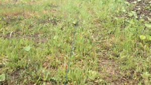 ГИДРОТАРАН РОГОЗИНА. ВОДЯНОЙ НАСОС. WATER RAMP PUMP. СВОИМИ РУКАМИ. ГИДРОУДАРНЫЙ НАСОС.