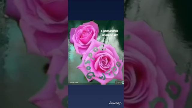 С добрым весенним утром! Хорошего настроения!