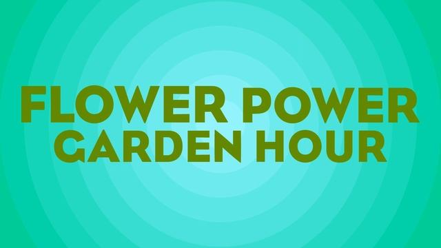 Flower Power Garden Hour 173: Glenn Dickerson, Begonia Collection Curator at Fort Worth Botanic... смотреть онлайн