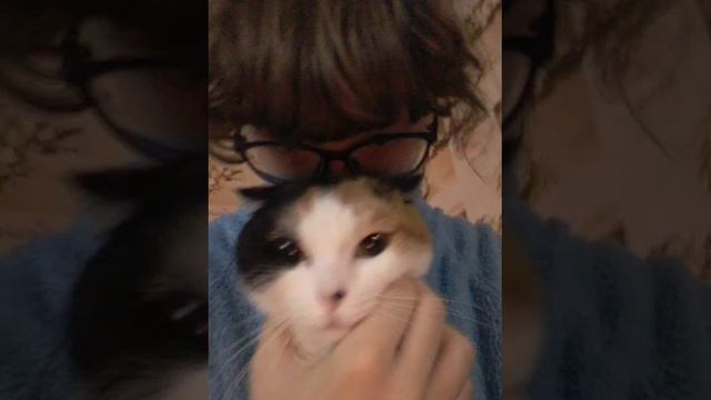 девочка увнздей