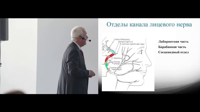 Анатомо-физиологические особенности уха смотреть онлайн