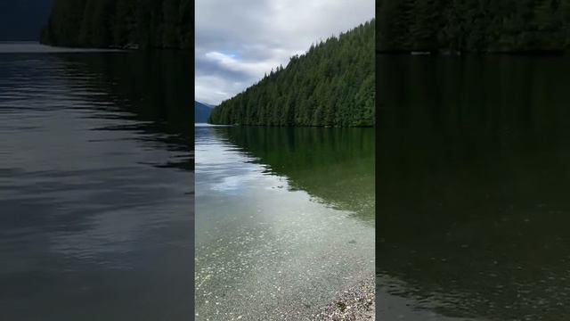 Fishing Adventures 13 смотреть онлайн