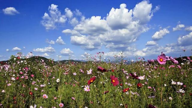 최강희 - 가려진너에게 kpop 韓國歌謠 смотреть онлайн