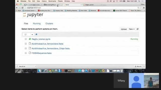 Regular Expression & Python Workshop смотреть онлайн