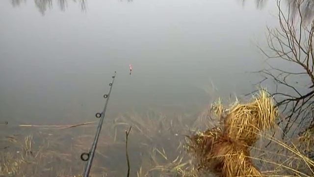 Клев рыбы со страшной силой смотреть онлайн