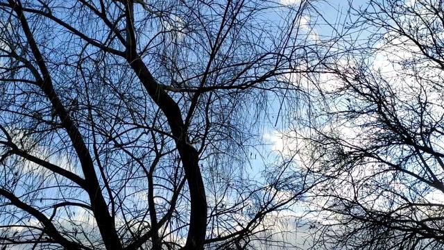 3 действия, которыми мужчина унижает себя перед женщиной. смотреть онлайн