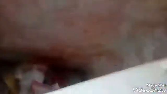 Укусила собака смотреть онлайн