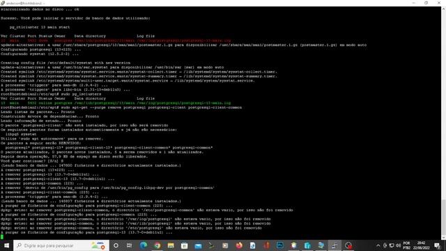 Removendo completamente o PostgreSQL do Debian: Guia passo a passo смотреть онлайн