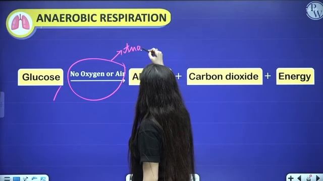 Respiration in Organisms || Full Chapter in 1 Video || Class 7th Science || Junoon Batch смотреть онлайн