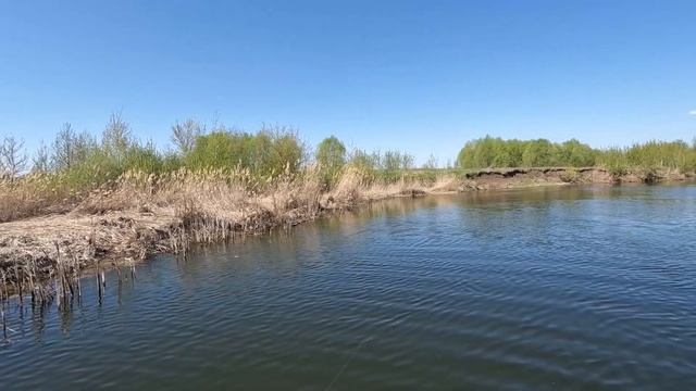 Одна из лучших моих рыбалок на джеркбейты.