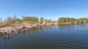 Одна из лучших моих рыбалок на джеркбейты.