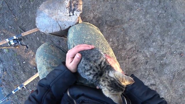 Река КИРПИЛИ! ЗЕРКАЛЬНЫЙ КАРП. ЗДЕСЬ РЫБЫ НЕТ смотреть онлайн