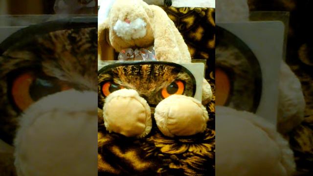 Асмр женские имена смотреть онлайн