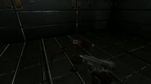 Doom 3 Weapon Mod: WOLFENSTEIN