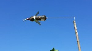 отпугиватель птиц.mp4