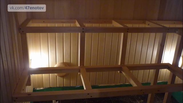 Сауна из липы, абаши, канадский кедр смотреть онлайн