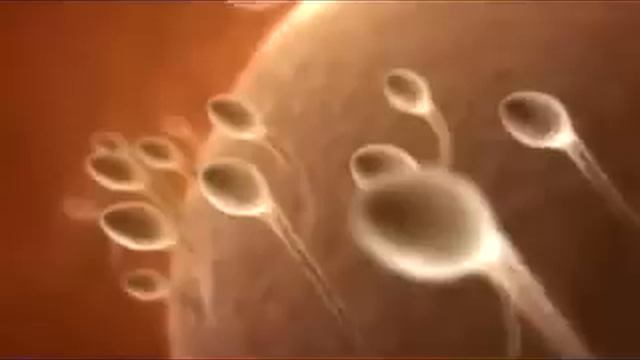 Вот так рождаются настоящие мужчины смотреть онлайн