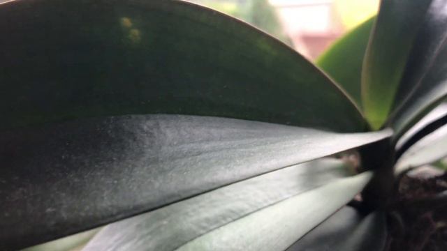 Oбзор окошкa в спальне смотреть онлайн