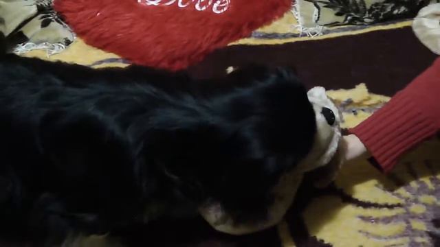 ЛЮБОВЬ ЗЛА ПОЛЮБЕШ И ......MP4