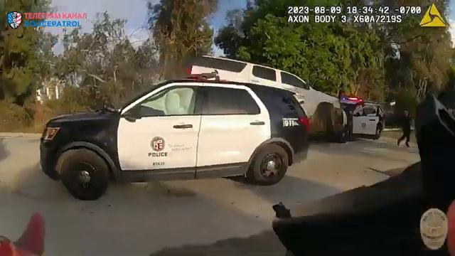 Мексиканское ГТА / Применение оружия полицией смотреть онлайн