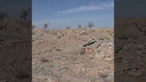 Байконур. Площадка 61,#shorts, #байконур