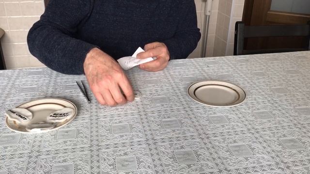 Гибискус травянистый: размножение семенами. 4 новых сорта. смотреть онлайн