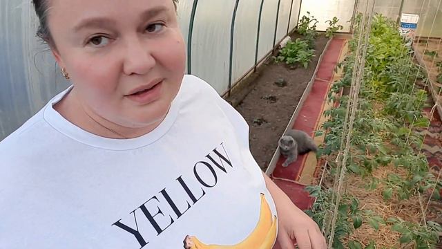 А СИЛА ТО В ПРАВДЕ🎯 смотреть онлайн