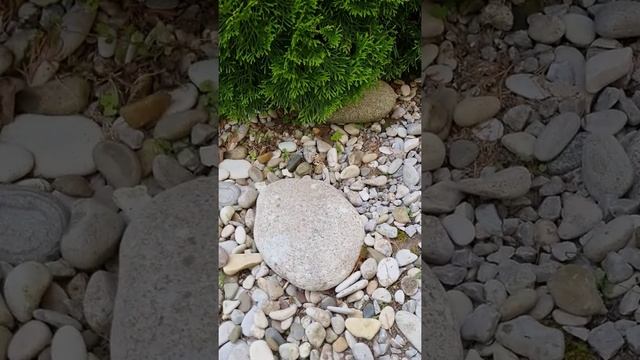 Создаем рокарий. смотреть онлайн