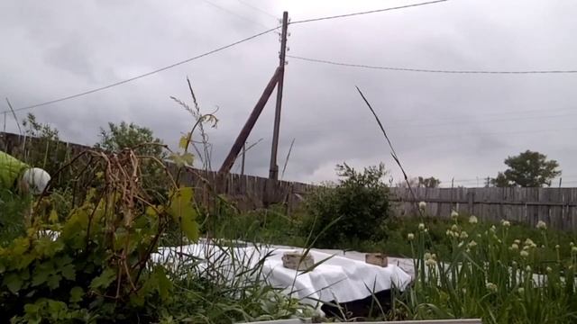 Завалился забор на даче. Смонтировала видео от 22.06.2023 г. смотреть онлайн