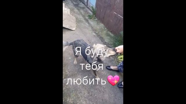 Кукла ищет своего хозяина Сарапул смотреть онлайн