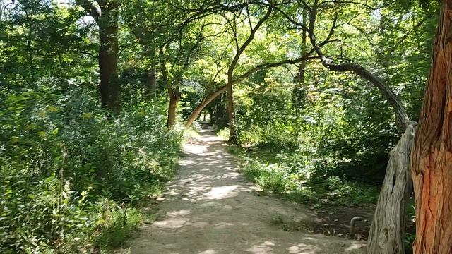 Прогулки по Армении. И снова маклюры в Ботаническом саду смотреть онлайн