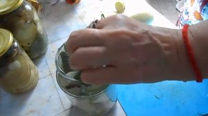 Кабачки   как грибы (Грузди). Заготовки на зиму.